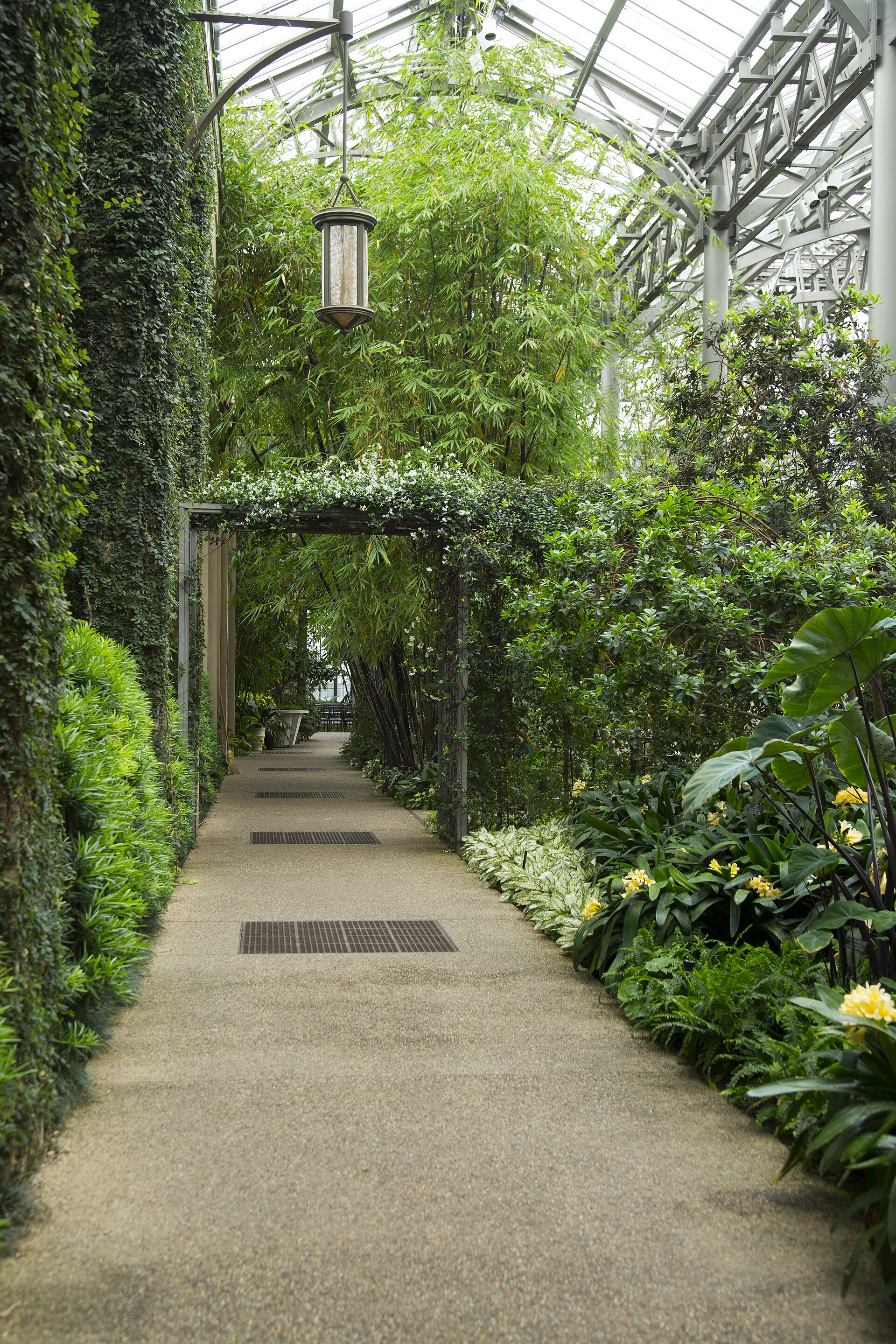 Quiet garden walkway